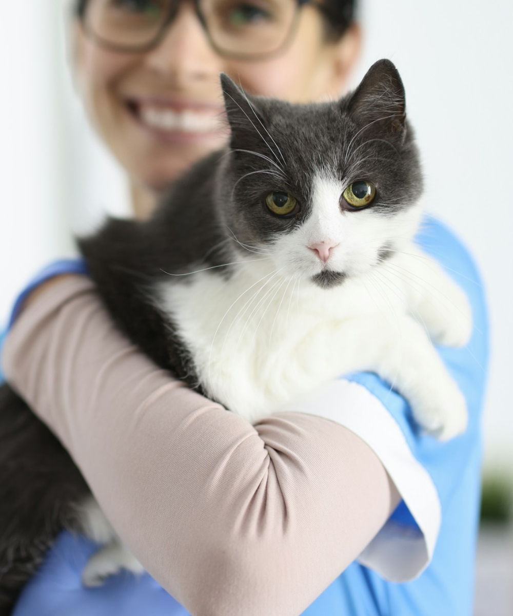 Woman smiling while holding a cat