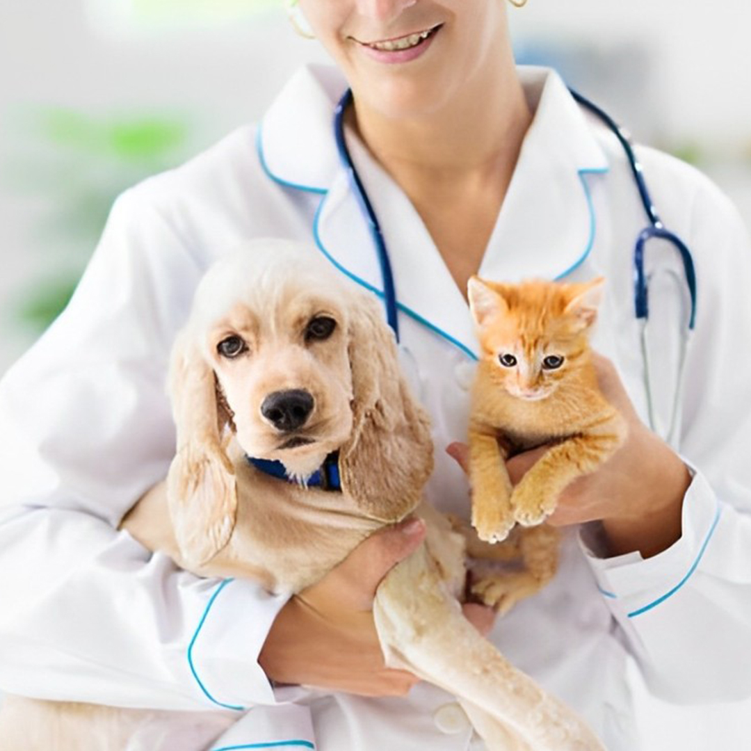 a person in a white coat holding a dog and a cat