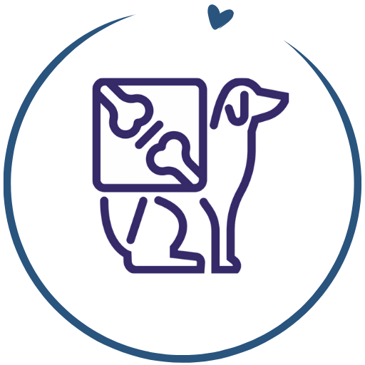 pet diagnostic testing icon